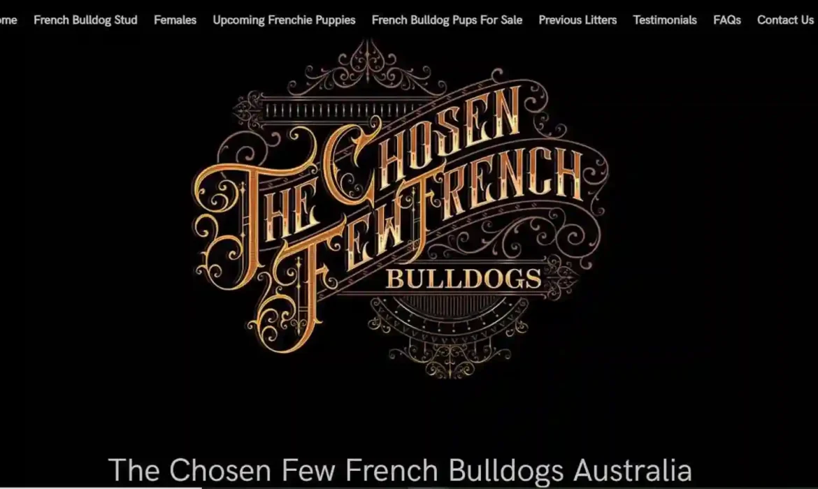 French Bulldogs Australia